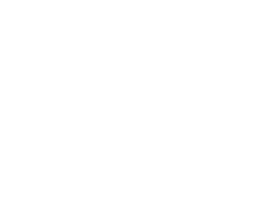 the-orangutan-project